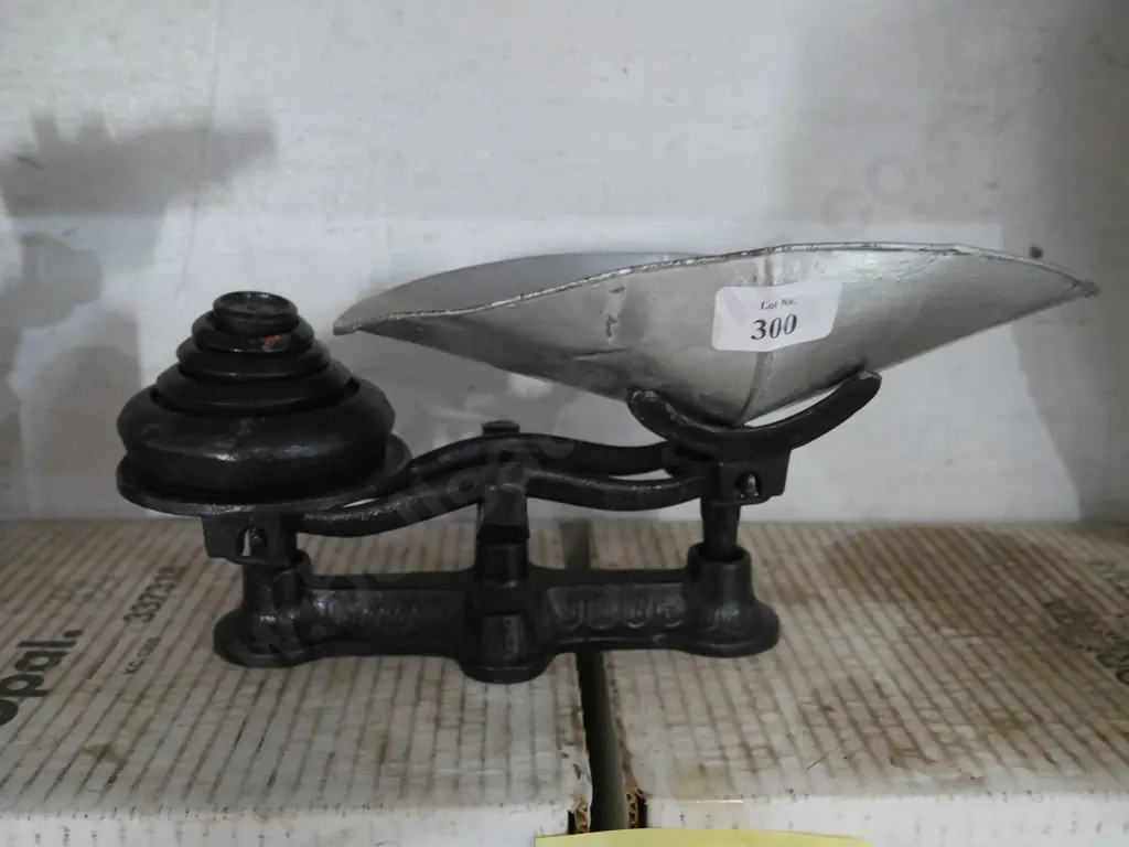 Scale and weights Image 1++