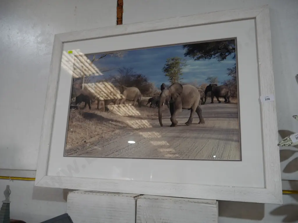 Framed elephants photograph Image 1++