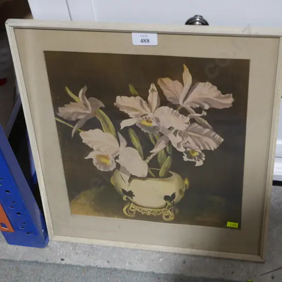 Artwork - C Everson