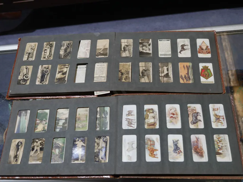 Two cigarette card albums Image 1++