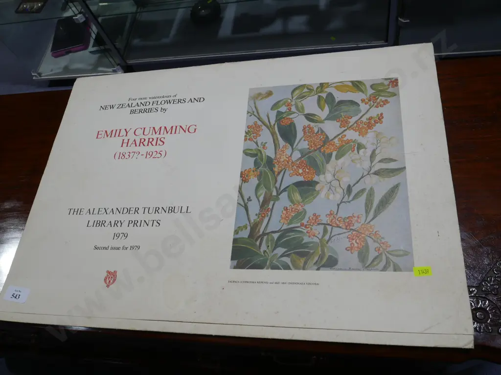 New Zealand flowers and berries by Emily Cumming Harris prints Image 1++