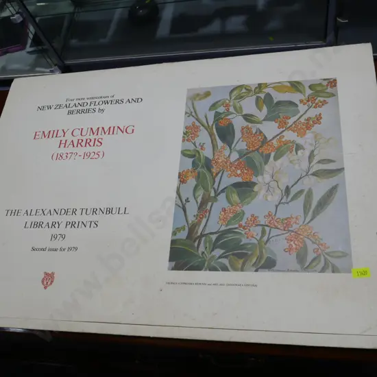 New Zealand flowers and berries by Emily Cumming Harris prints