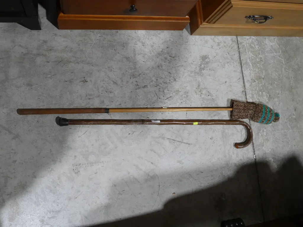 Walking stick the golf club vintage Image 1++