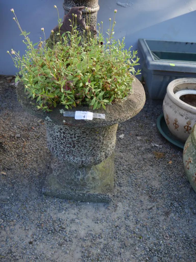 Plant pot Image 1++
