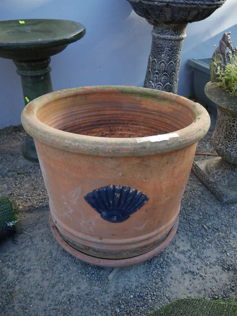 Plant pot Image 1++