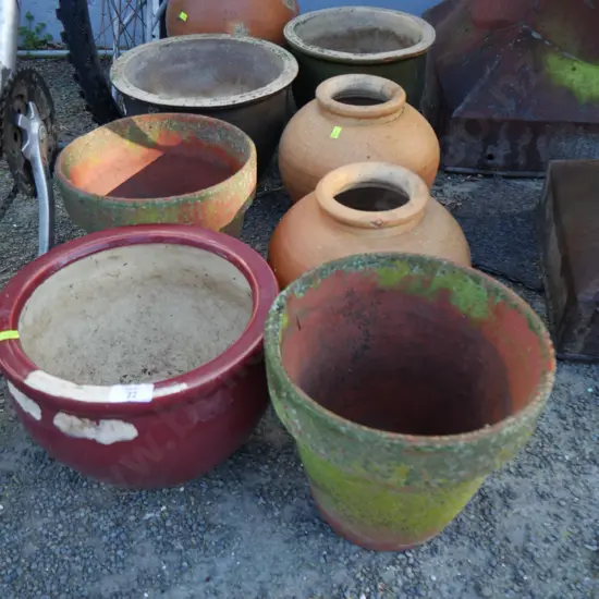 Assorted plant pots