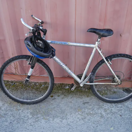 Avanti mountain bike