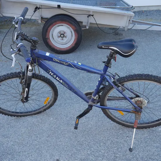 Mountain bike