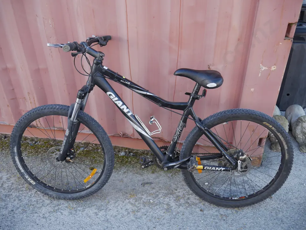 Giant mountain bike Image 1++