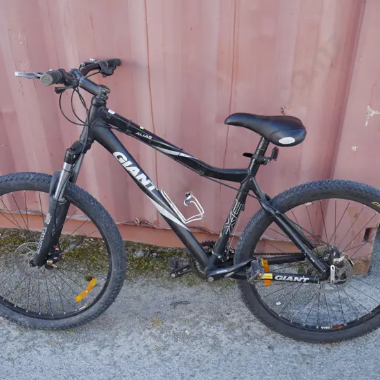 Giant mountain bike