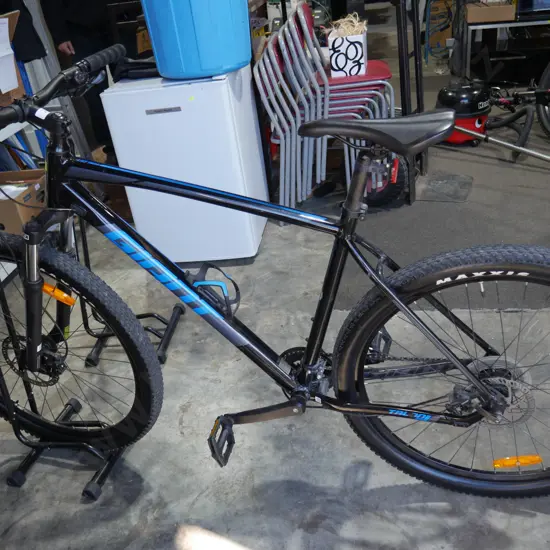 Giant mountain bike and bike stand