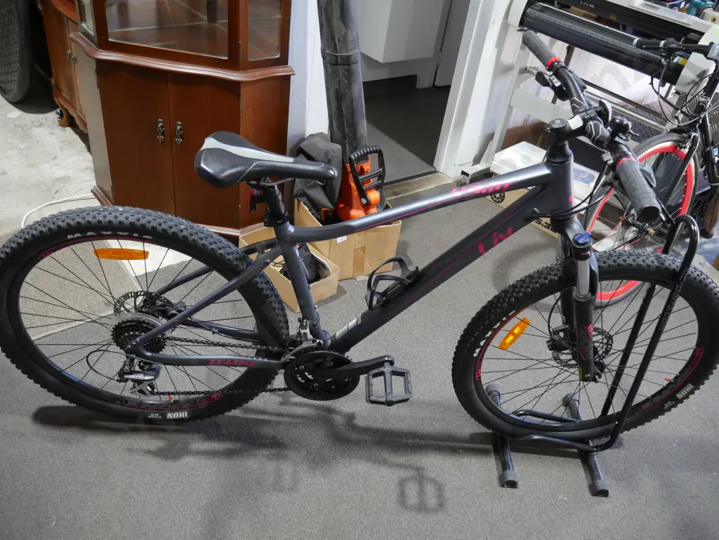 Liv mountain bike and bike stand Image 1++