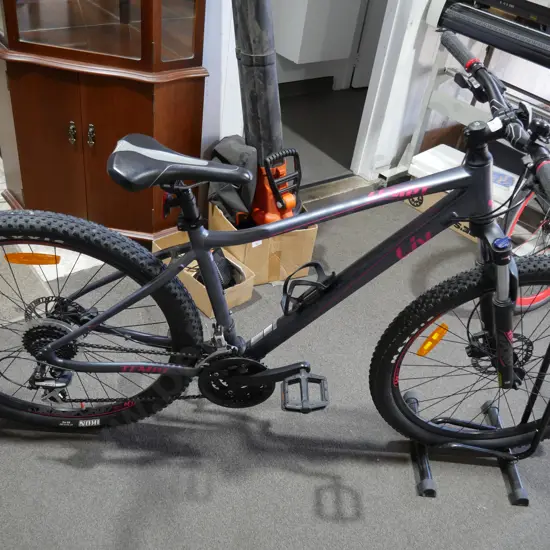 Liv mountain bike and bike stand