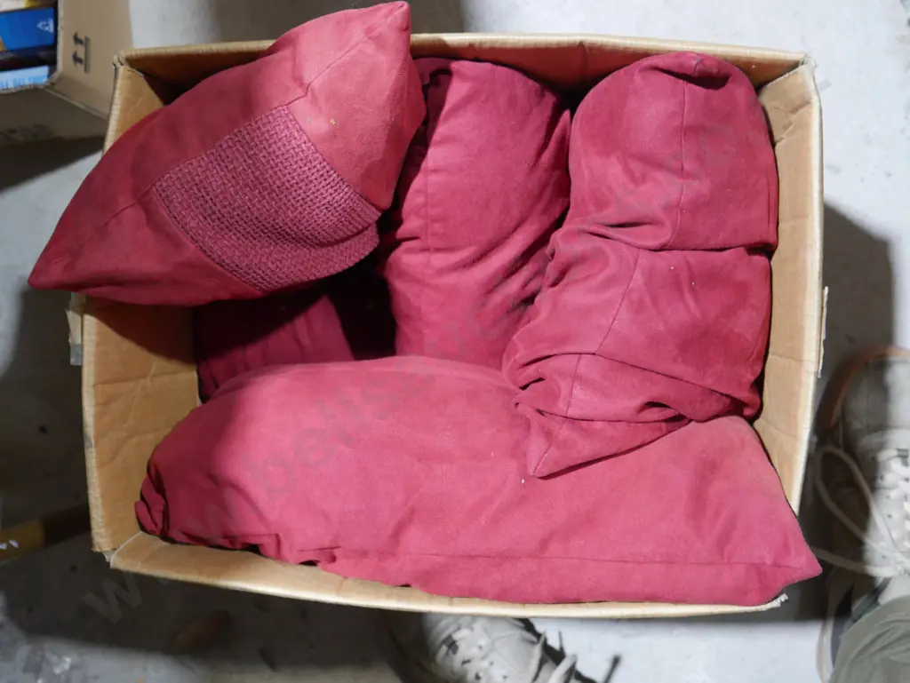 Cushions Image 1++