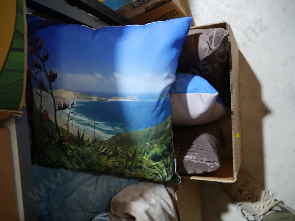 Cushions Image 1++
