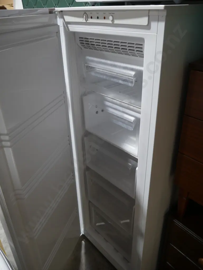 Acqua upright freezer Image 1++