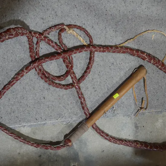 Large stock whip