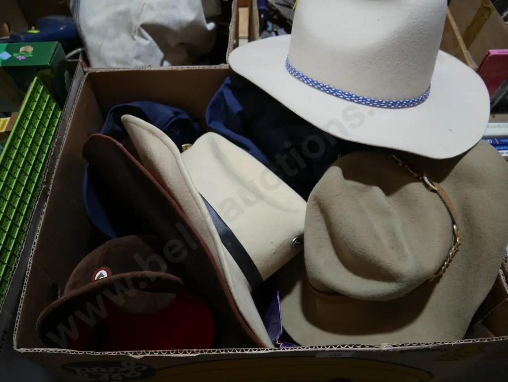 Hats etc Image 1++