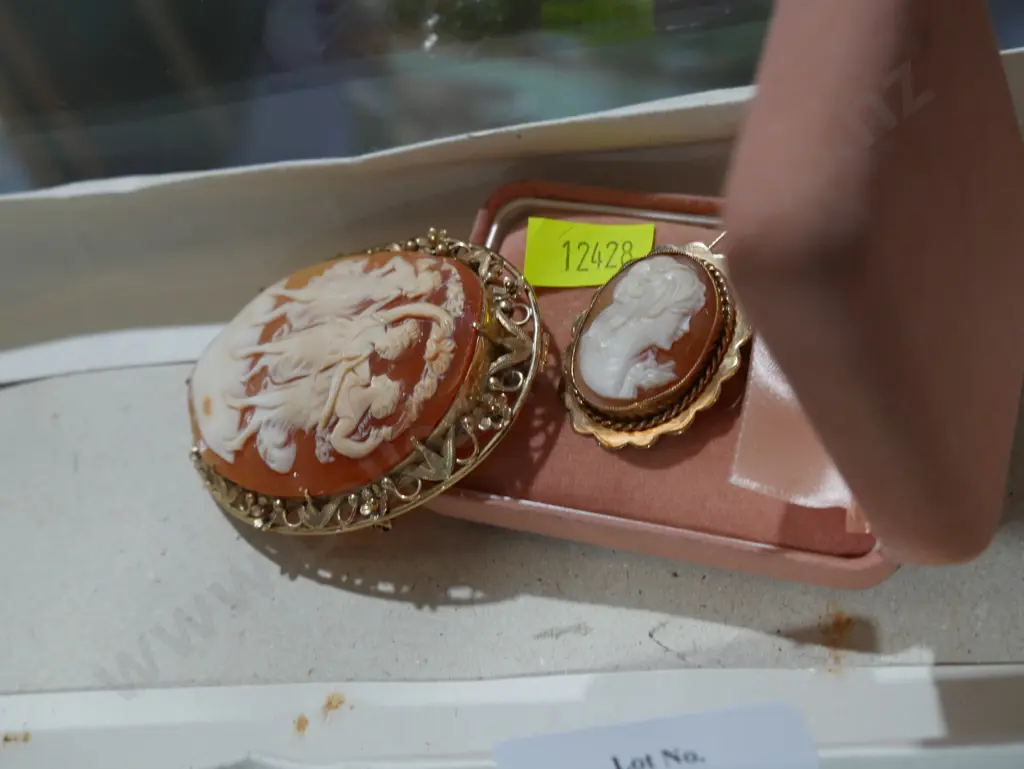 Nine carat cameo brooch and earrings etc Image 1++