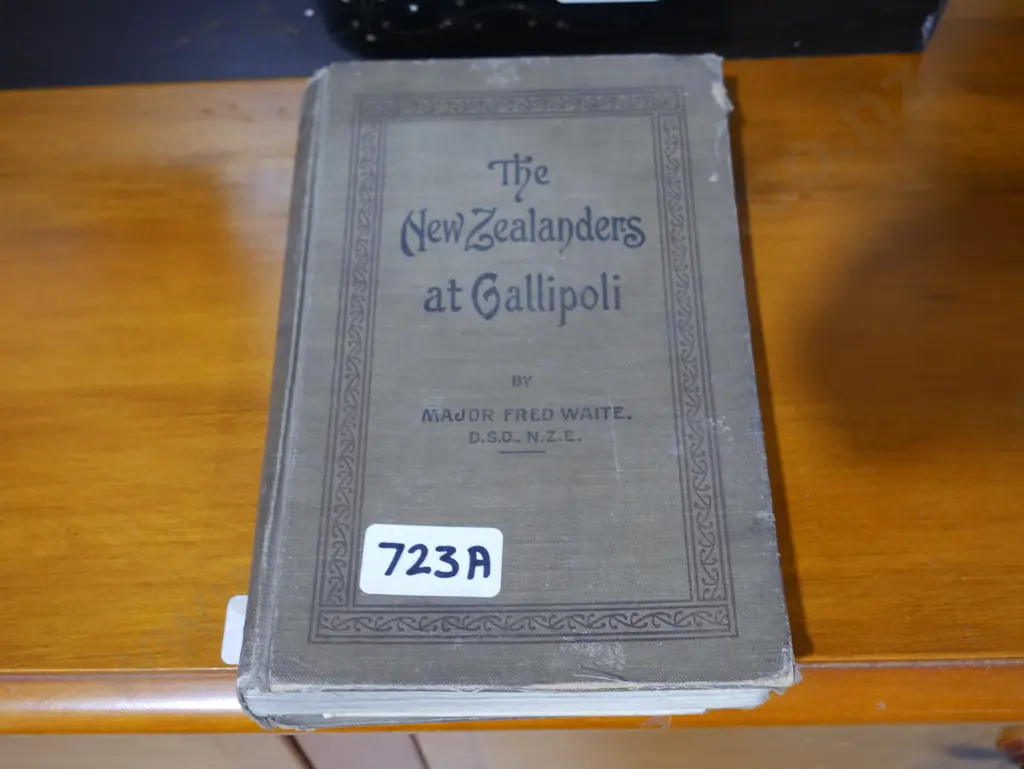The New Zealanders at Gallipoli book Image 1++