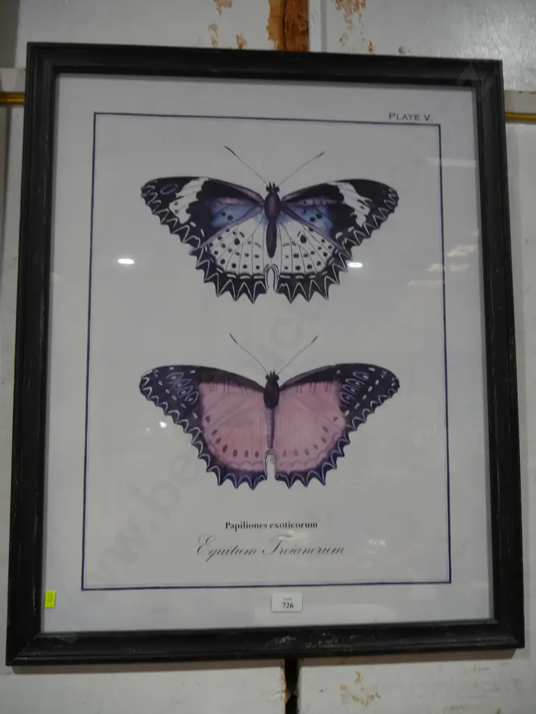 Artwork butterflies Image 1++