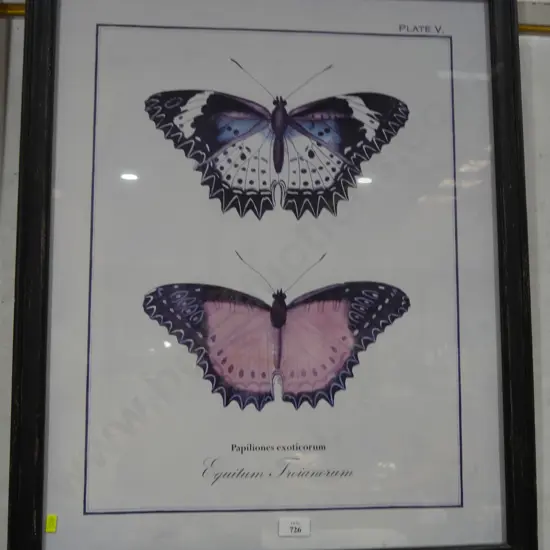 Artwork butterflies