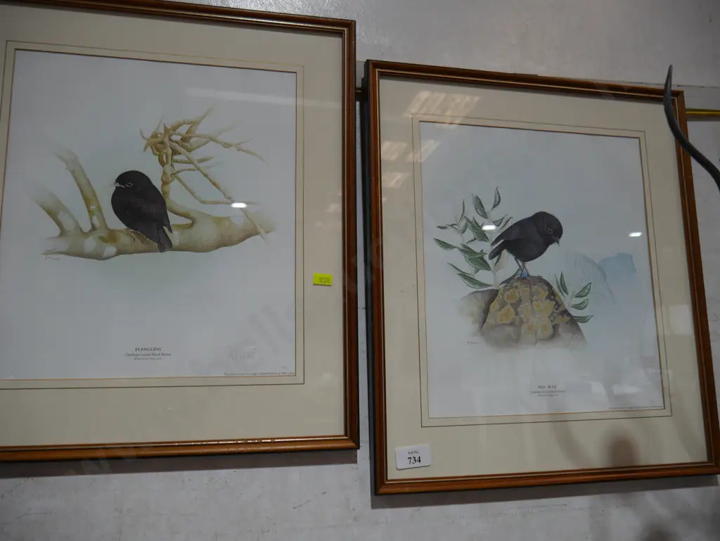 2 limited edition bird prints P.M. Morse Image 1++