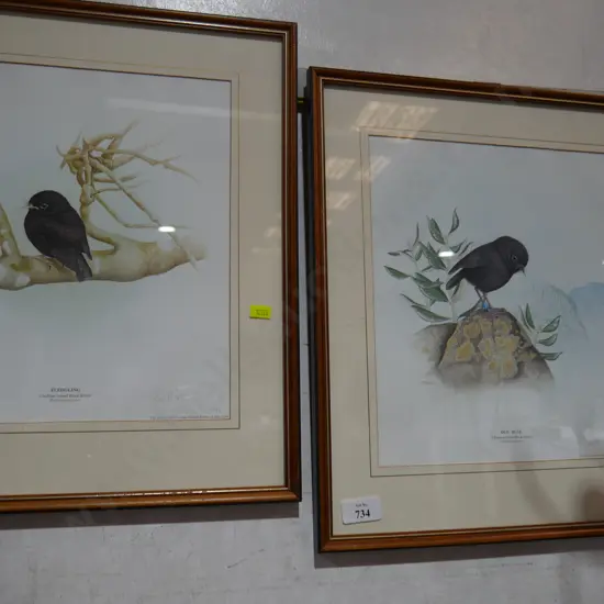 2 limited edition bird prints P.M. Morse