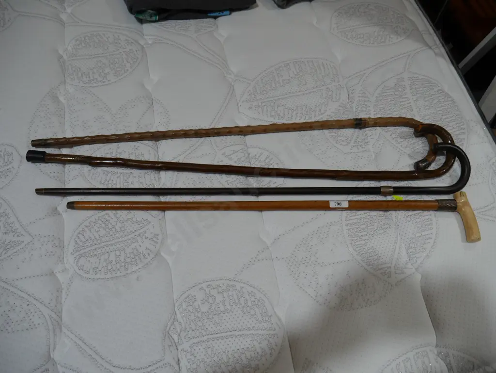Walking sticks Image 1++