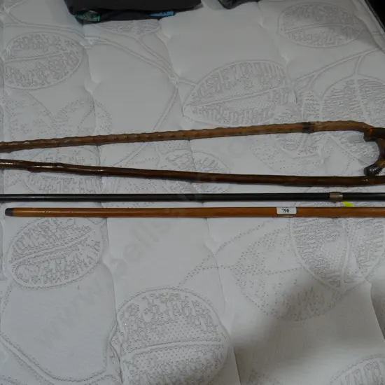 Walking sticks