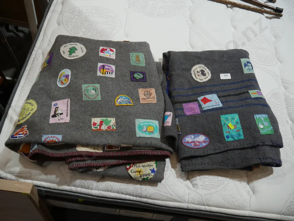 2 scout blankets Image 1++