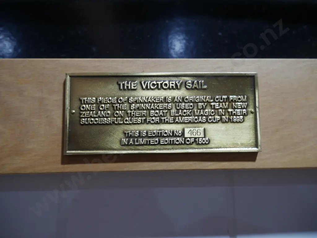 Team New Zealand limited edition spinnaker sail Image 1++