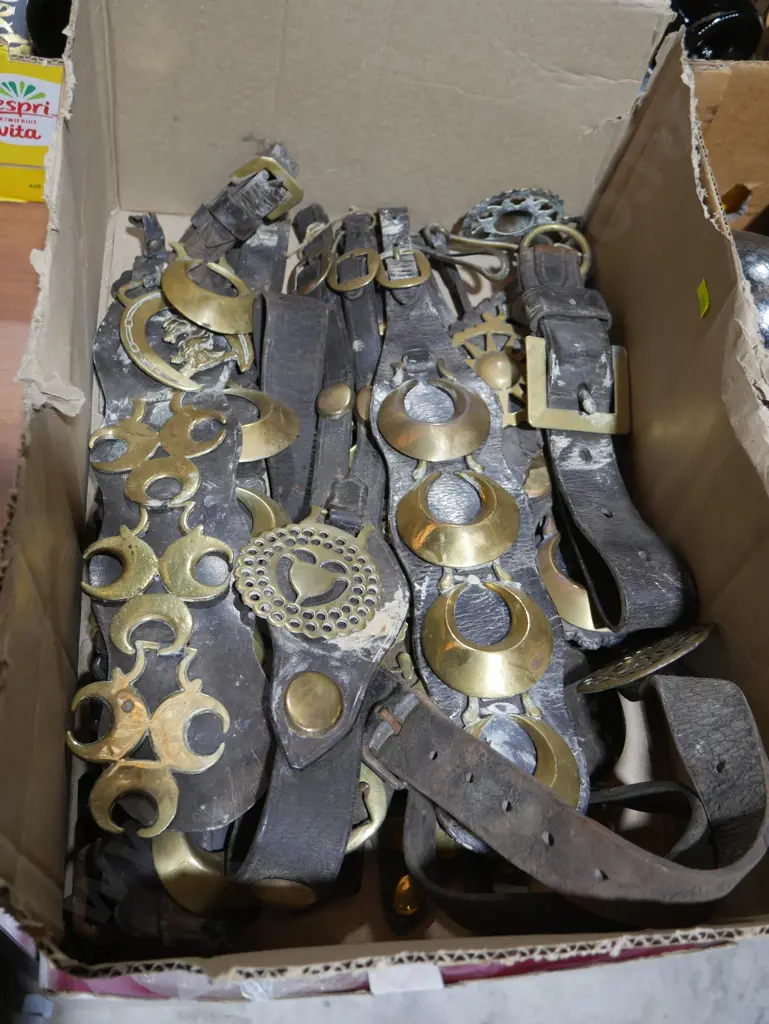 Horse brasses Image 1++