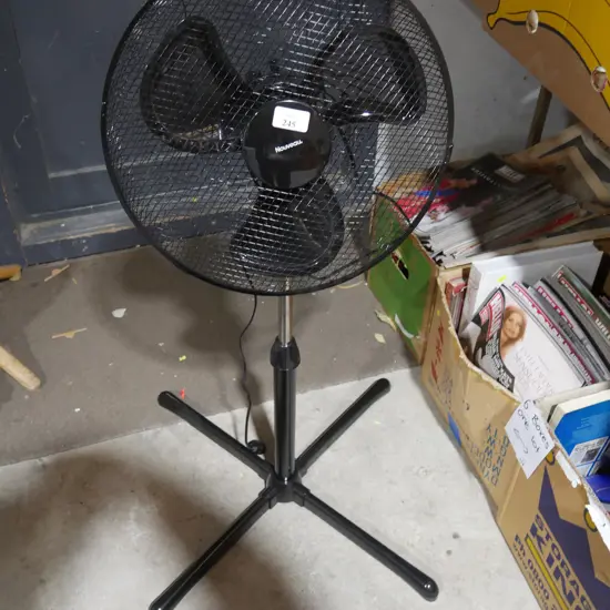 Nouveau fan