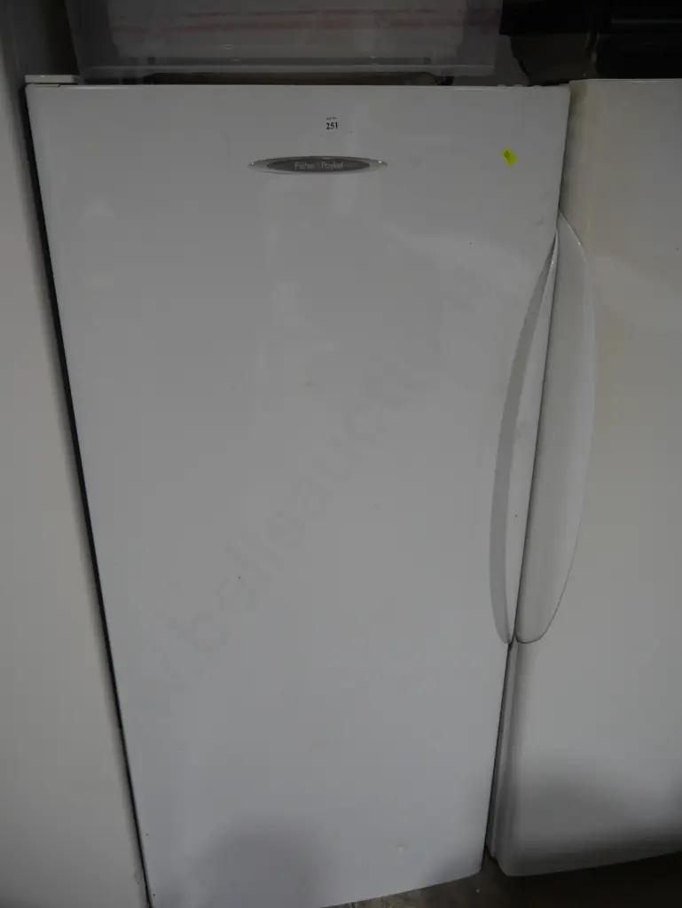 Fisher & Paykel fridge Image 1++