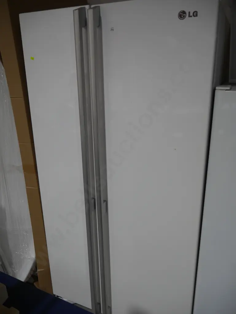 LG fridge freezer Image 1++