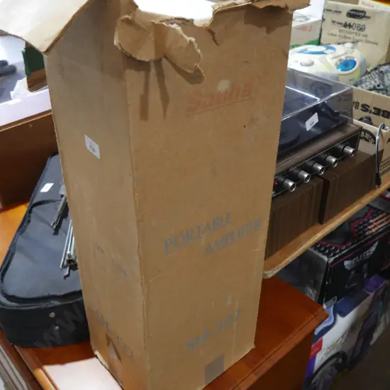 Portable amplifier and microphone