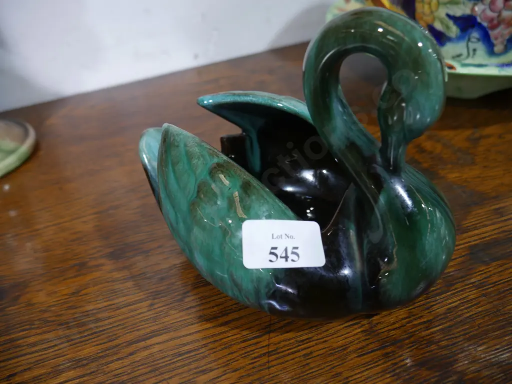 Blue mountain swan Image 1++