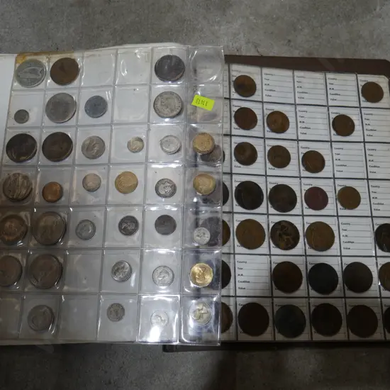 Coins in album