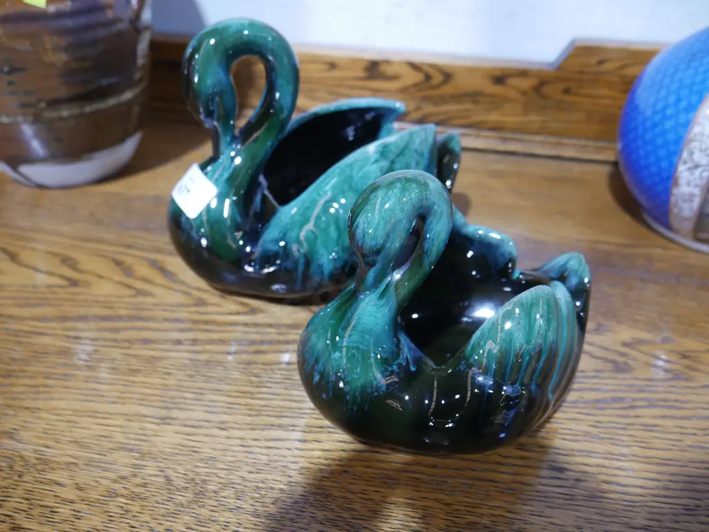 Blue mountain Swans Image 1++