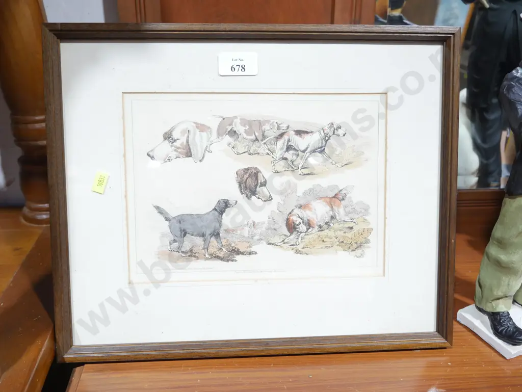 Framed dog print Image 1++