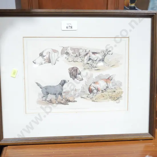 Framed dog print