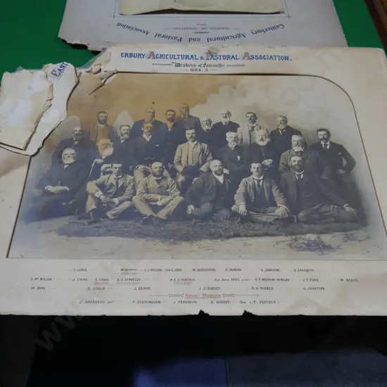 Canterbury agricultural pastoral association photo 1894