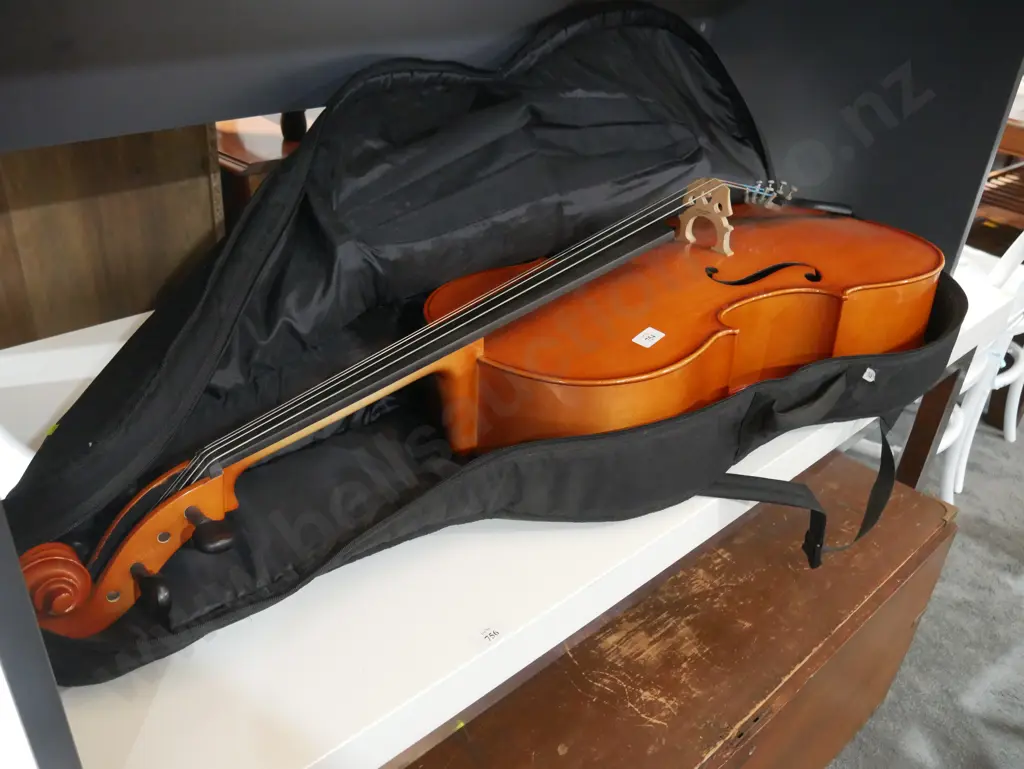 Cello and bag Image 1++