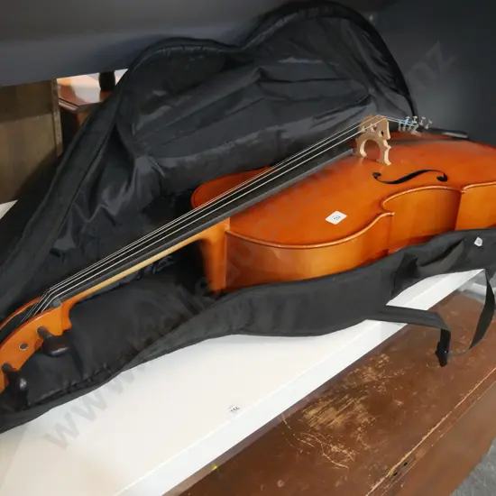 Cello and bag