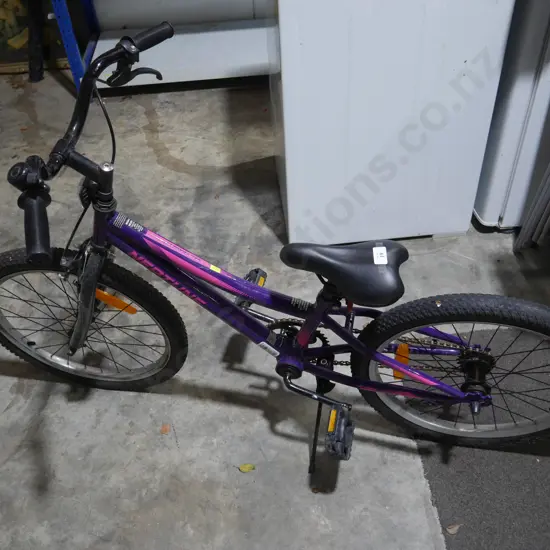 Neptune bike