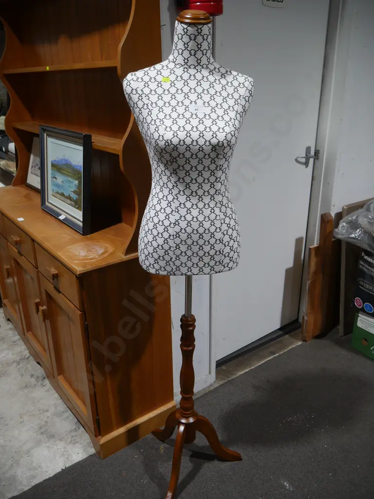 Mannequin torso Image 1++