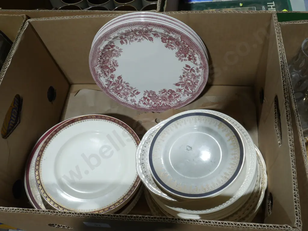 Plates Image 1++