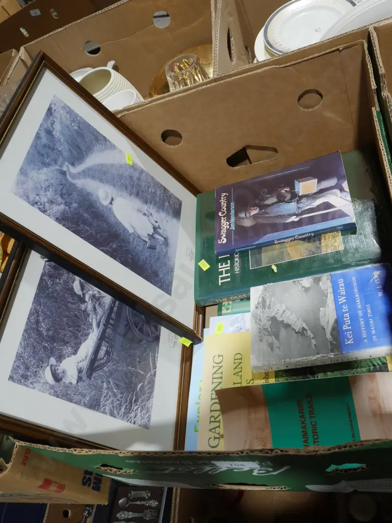 Books and 2 pictures Image 1++