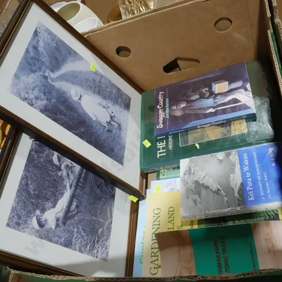 Books and 2 pictures